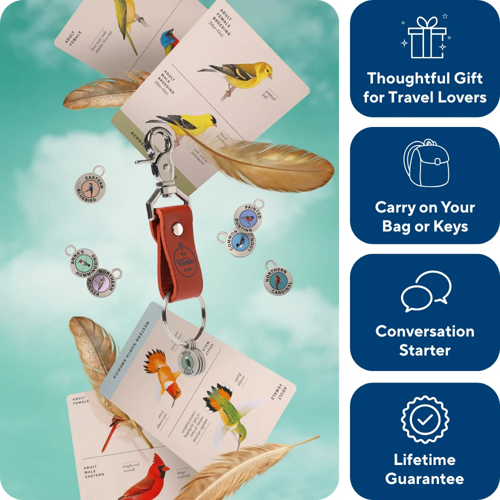 Birding Tokens - Image 2
