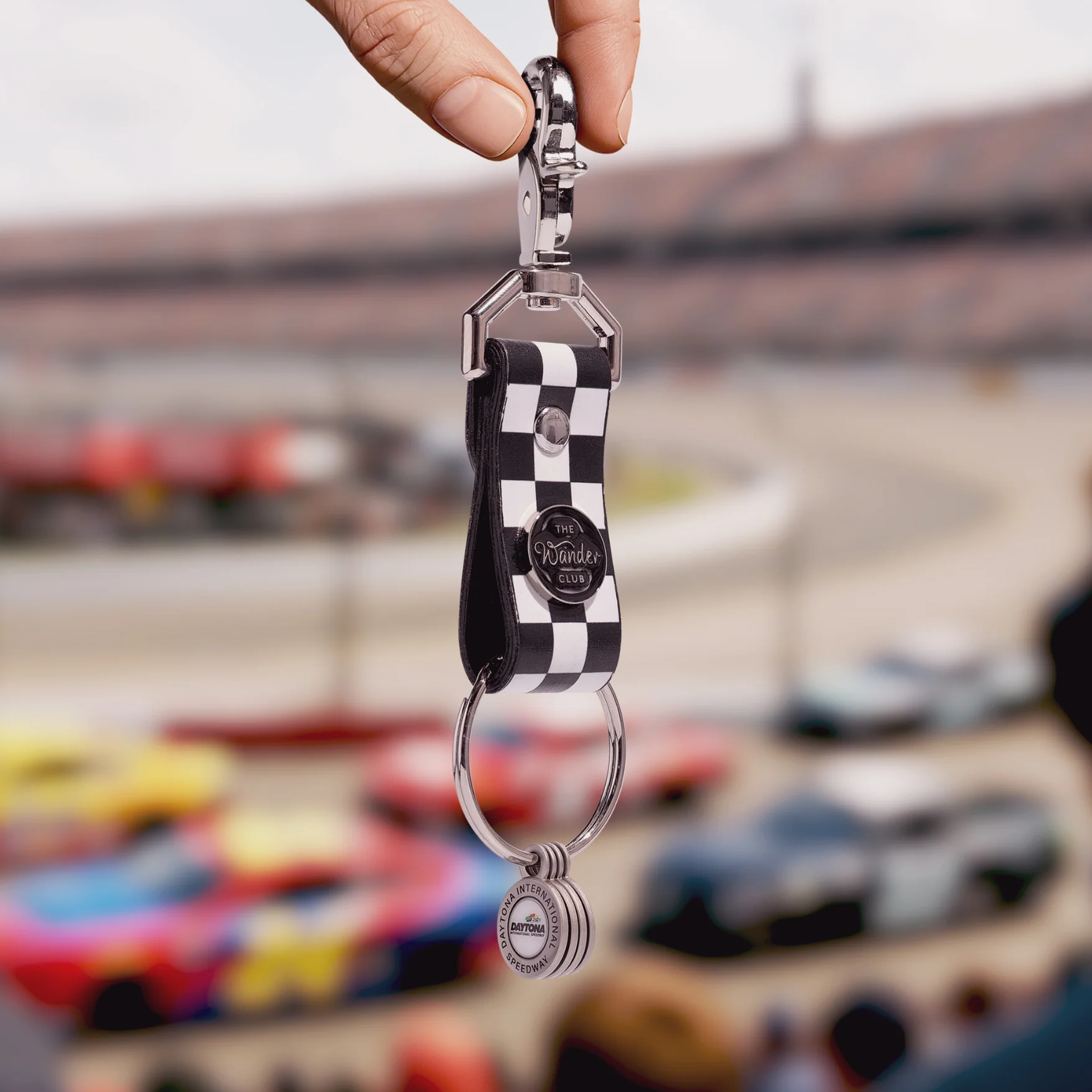 Checkered Wanderchain - Image 5