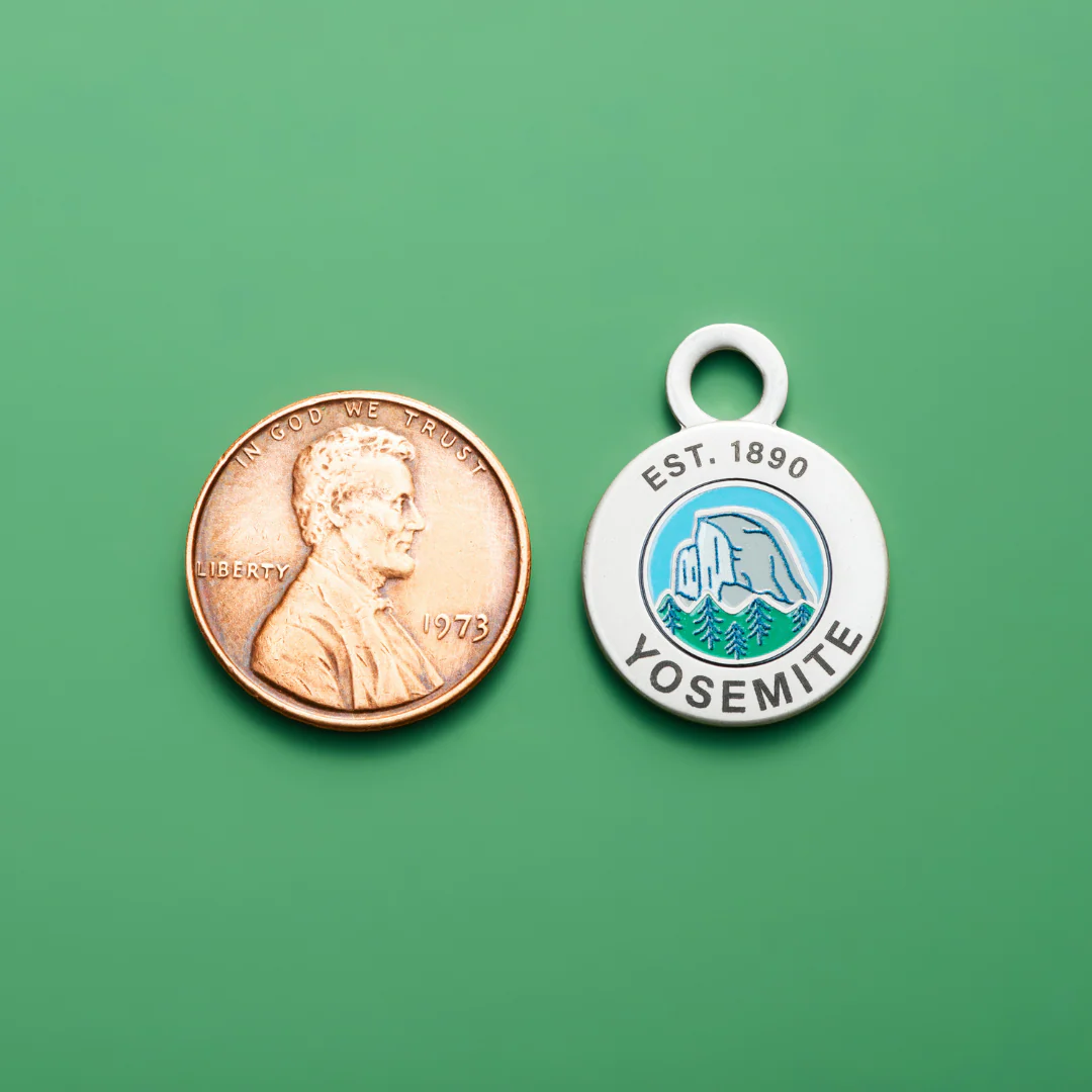 Symbolic Tokens - Image 8